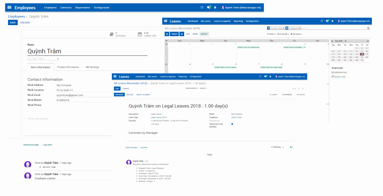 Odoo text and image block