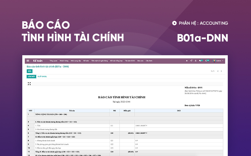 Báo cáo tình hình tài chính (B01a - DNN)